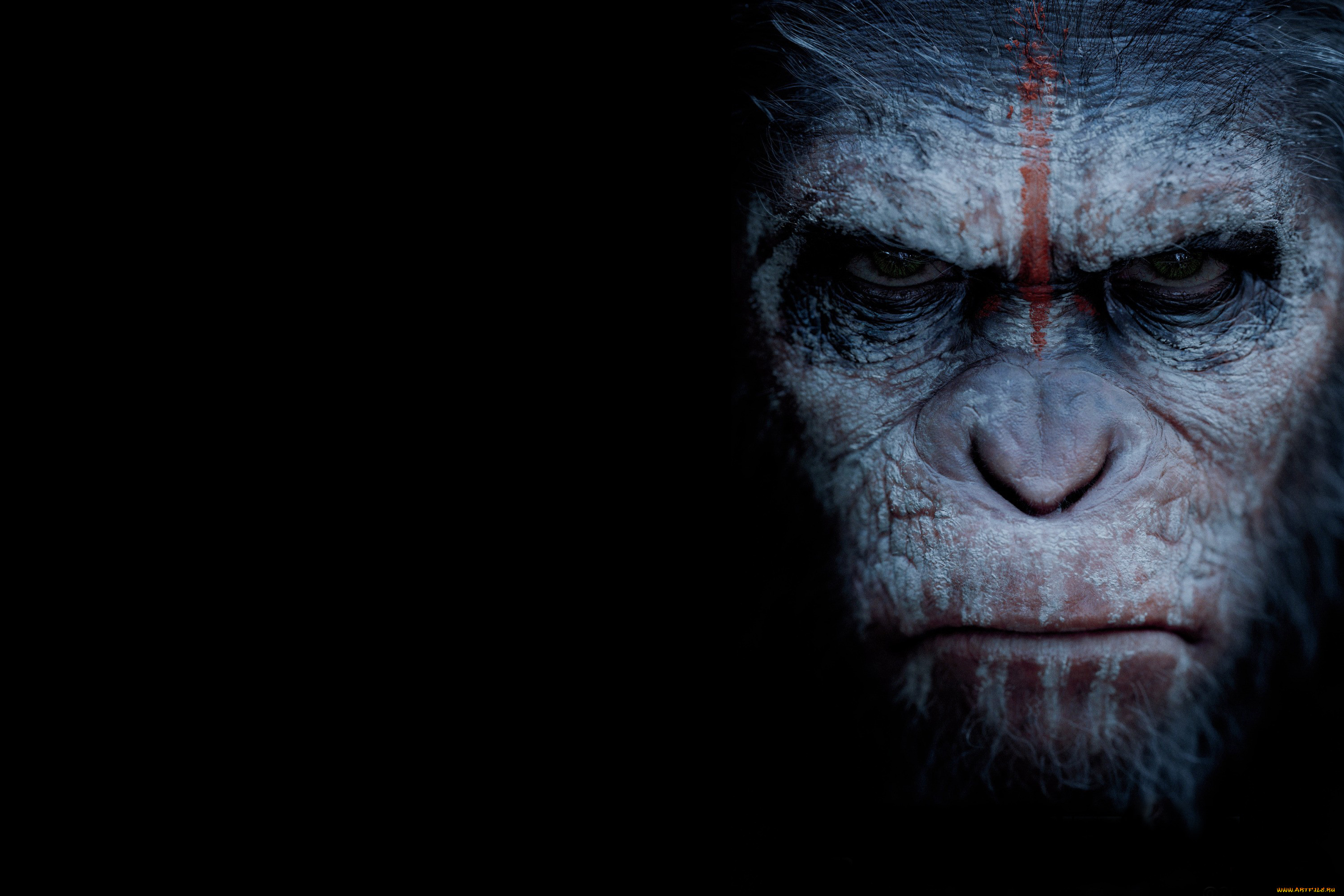 dawn of the planet of the apes,  , , , 